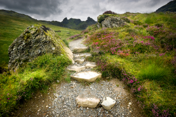 Stacks Image 1685